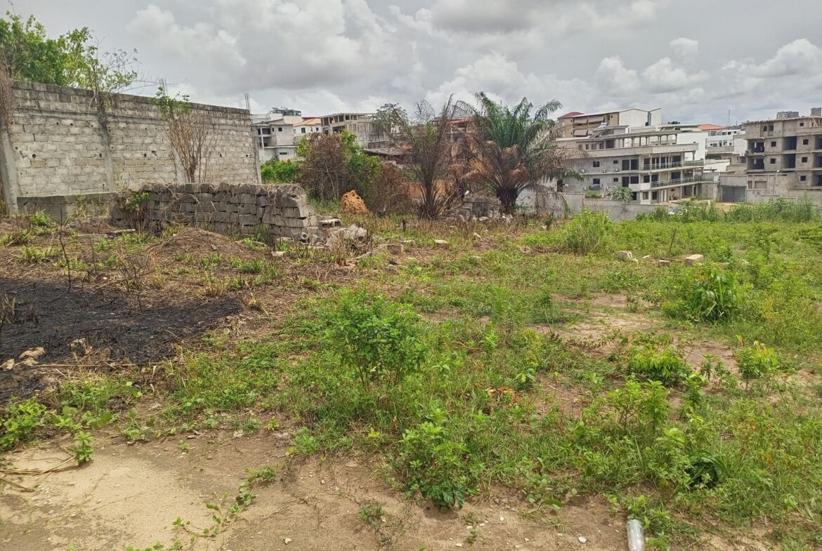 Aperçu de la parcelle de Bingerville Feh Kesse