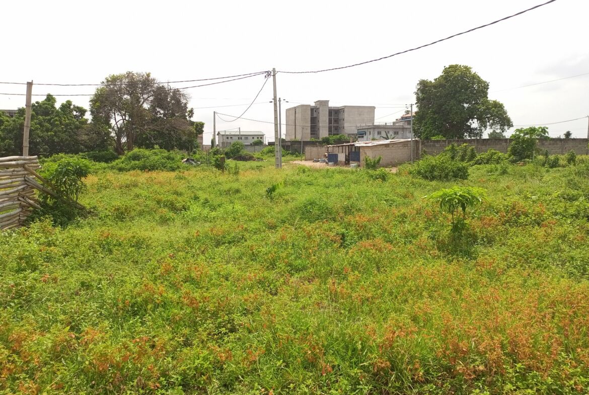 PARCELLE ANGRE BESSIKOI