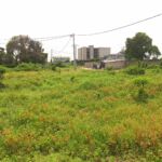 PARCELLE ANGRE BESSIKOI